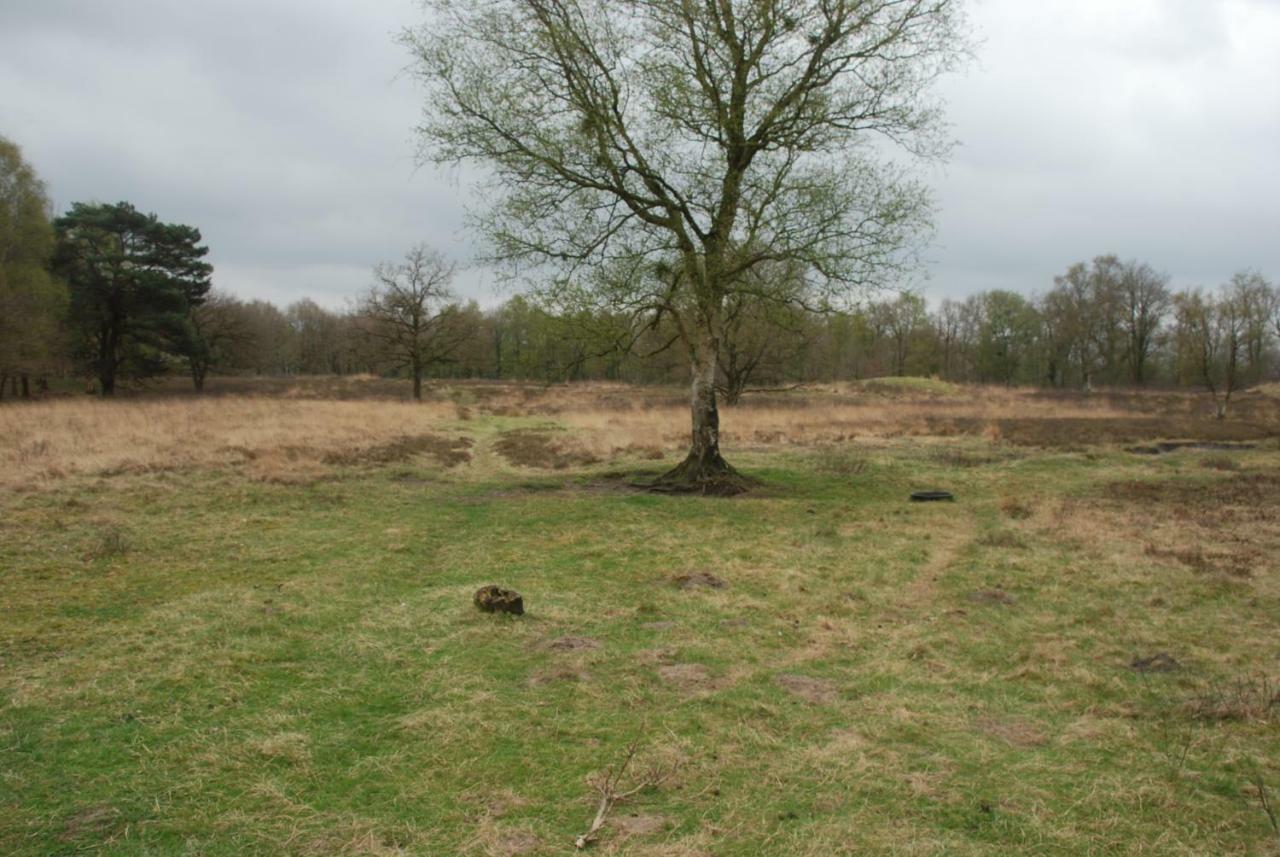 Assen-Groningen-Saunacabine Vries Esterno foto